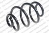 ROC CS8099 Coil Spring